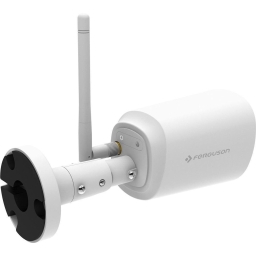 IP-камера видеонаблюдения Ferguson Smart Eye 300